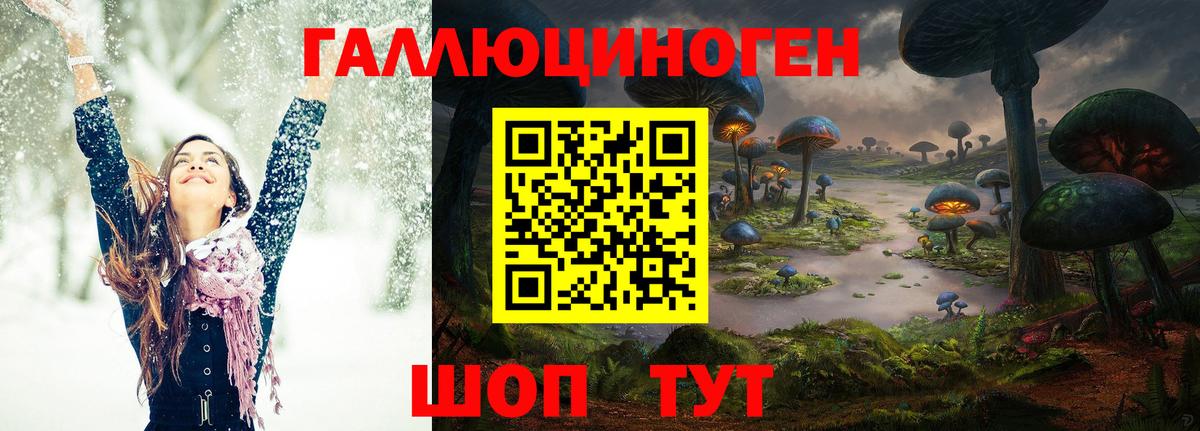 Галлюциногенные грибы Psilocybe  Вход с VPN  дарнет шоп  Михайловск 