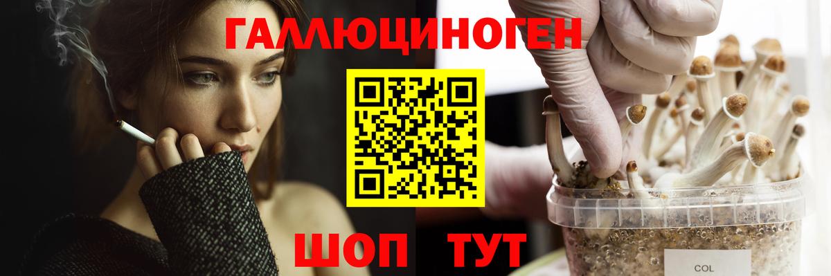 Псилоцибиновые грибы MAGIC MUSHROOMS Михайловск